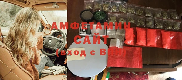 гашик Пестово