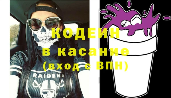 гашик Пестово