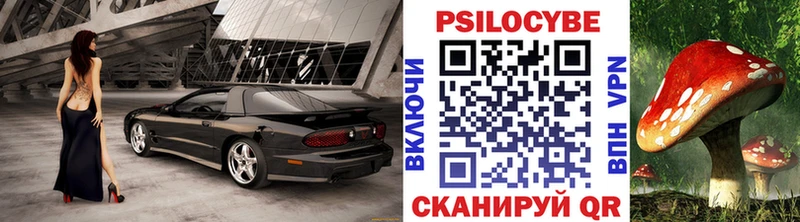 Галлюциногенные грибы мицелий  darknet Telegram  Спасск-Дальний  цена  